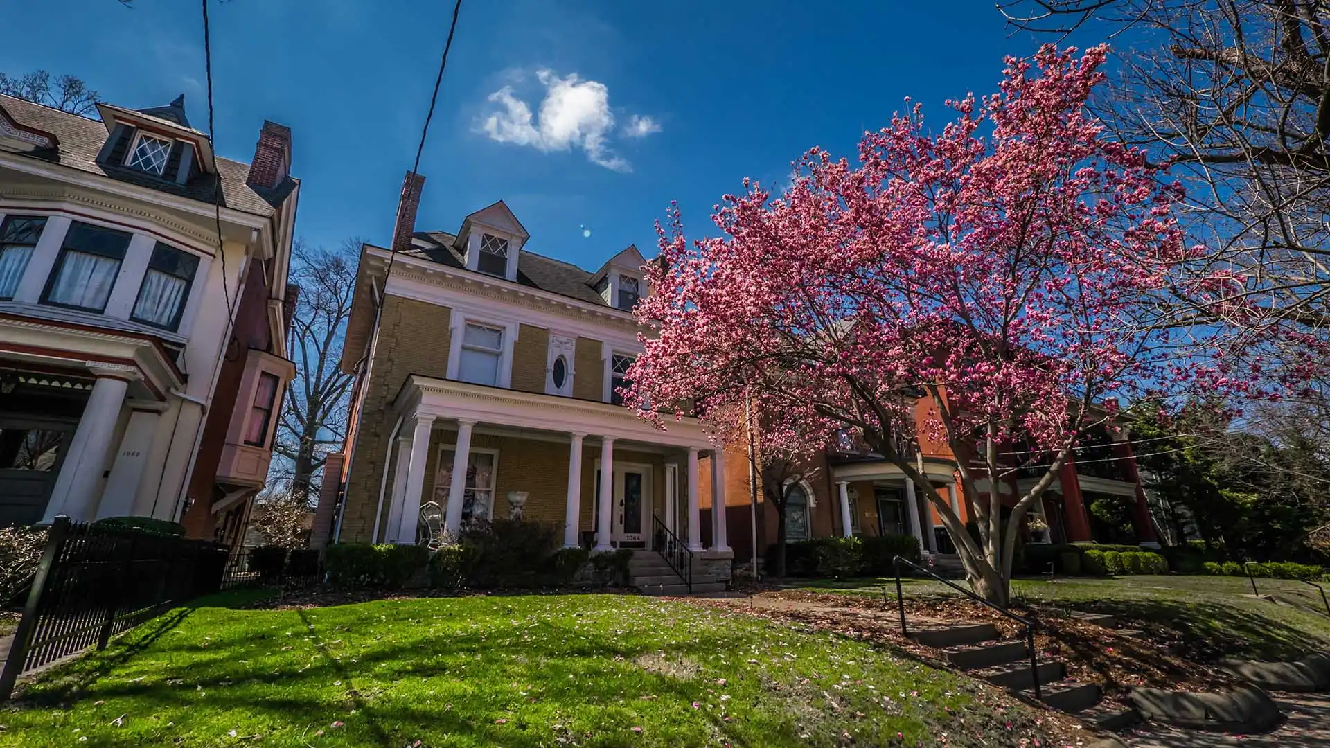 A House In Louisville With Trees Blooming In The Spring