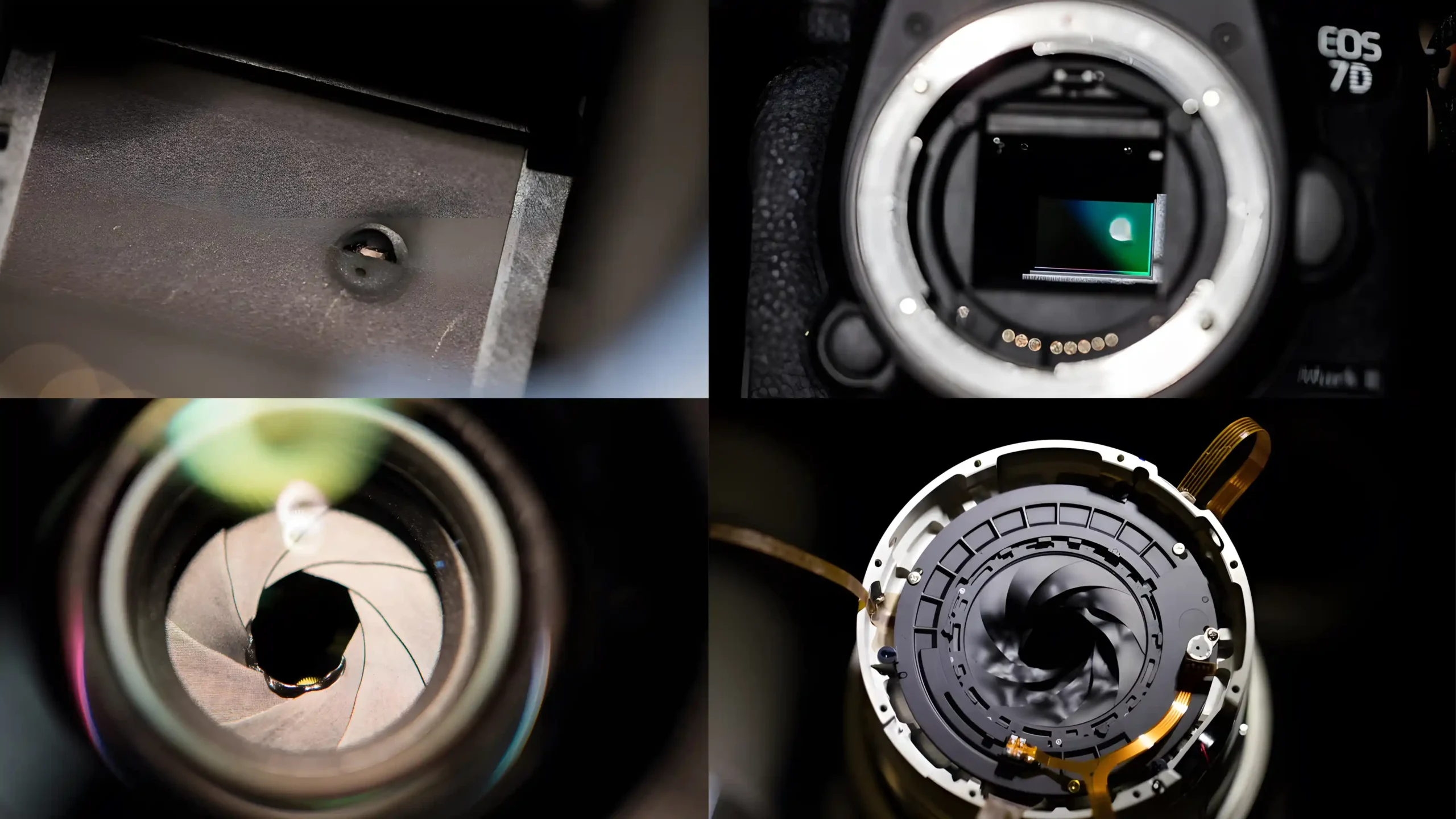 Close-up views of camera parts and mechanism.